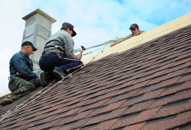 Best Gutter Installation and Roofing  in Elkhart, TX